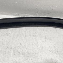 2018-25 Volkswagen Atlas Front Passenger Door Window Glass Run Channel Seal OEM