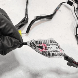 2019-2024 TOYOTA CAMRY FRONT RIGHT PASSENGER SIDE DOOR WIRE WIRING HARNESS OEM