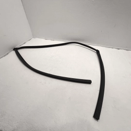 2016-2021 HONDA CIVIC FRONT DRIVER DOOR WINDOW GLASS RUN CHANNEL SEAL OEM