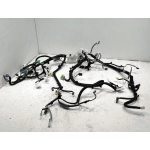 2019 Honda Civic Sport 2.0L Front Dash Instrument Panel Wire Wiring Harness OEM