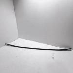 2018 - 2021 HONDA CIVIC SEDAN RIGHT PASSENGER SIDE ROOF DRIP MOLDING TRIM OEM