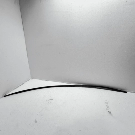 2018 - 2021 HONDA CIVIC SEDAN LEFT DRIVER SIDE ROOF DRIP MOLDING TRIM OEM