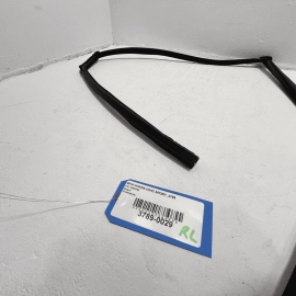 2016-2021 HONDA CIVIC REAR LEFT DRIVER DOOR WINDOW GLASS RUN CHANNEL SEAL OEM