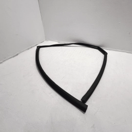 2016-2021 HONDA CIVIC REAR LEFT DRIVER DOOR WINDOW GLASS RUN CHANNEL SEAL OEM
