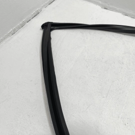 2016-2021 HONDA CIVIC REAR LEFT DRIVER DOOR WINDOW GLASS RUN CHANNEL SEAL OEM