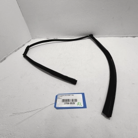 2016-2021 HONDA CIVIC REAR LEFT DRIVER DOOR WINDOW GLASS RUN CHANNEL SEAL OEM