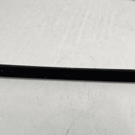 2016-21 HONDA CIVIC REAR DRIVER DOOR WINDOW INNER BELT WEATHERSTRIP SEAL OEM