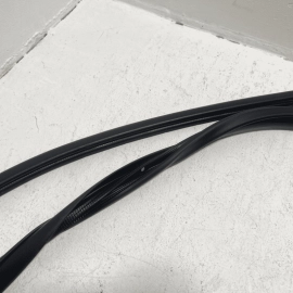 TOYOTA CAMRY 2018-2025 FRONT PASSENGER SIDE DOOR BODY WEATHERSTRIP SEAL OEM