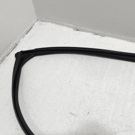 2018 - 2025 HONDA ACCORD REAR LEFT DRIVER DOOR WINDOW GLASS RUN CHANNEL SEAL OEM