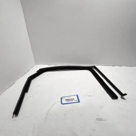 2019-2025 VW JETTA REAR DOOR PASSENGER SIDE WINDOW GLASS RUN CHANNEL SEAL OEM