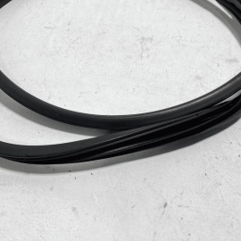 HONDA ACCORD 2018-2025 FRONT LEFT DRIVER DOOR SIDE BODY WEATHERSTRIP SEAL OEM