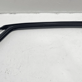 19-2025 VOLKSWAGEN JETTA REAR DOOR DRIVER SIDE WINDOW GLASS RUN CHANNEL SEAL OEM