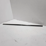 2019 - 2025 VOLKSWAGEN JETTA REAR DOOR DRIVER SIDE WINDOW BELT MOLDING OEM