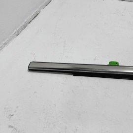 2014-2020 Acura MDX Front Left Driver Door Window Belt Molding OEM
