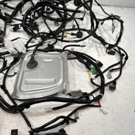 2019 Honda Civic 2.0L Sport Sedan  Interior Floor & Trunk  Wire Harness OEM