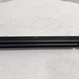 HONDA ACCORD 2018-2025 REAR LEFT DRIVER DOOR WINDOW INNER BELT WEATHERSTRIP OEM