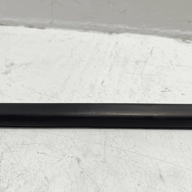 2012-2018 Ford Focus Rear Driver Side Door Belt Molding Weatherstrip Seal OEM