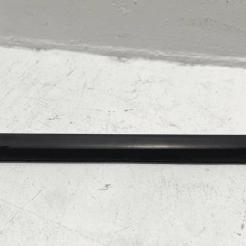 2012-2018 Ford Focus Rear Driver Side Door Belt Molding Weatherstrip Seal OEM