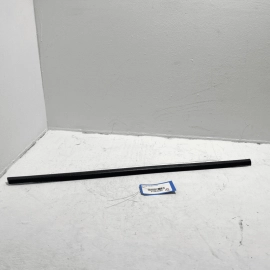 2012-2018 Ford Focus Rear Driver Side Door Belt Molding Weatherstrip Seal OEM