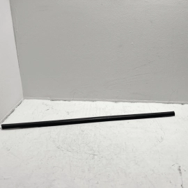 2012-2018 Ford Focus Rear Driver Side Door Belt Molding Weatherstrip Seal OEM