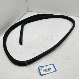 FORD FOCUS 2012-2018 FRONT RIGHT OR LEFT SIDE DOOR BODY WEATHERSTRIP SEAL OEM