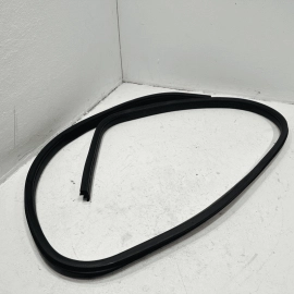 FORD FOCUS 2012-2018 FRONT RIGHT OR LEFT SIDE DOOR BODY WEATHERSTRIP SEAL OEM