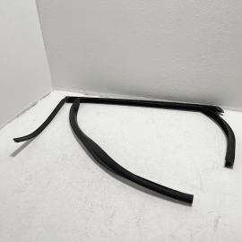 2014-2018 FORD FOCUS REAR PASSENGER DOOR WINDOW RUN CHANNEL SEAL STRIP OEM