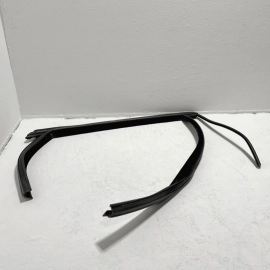2014-2018 FORD FOCUS REAR PASSENGER DOOR WINDOW RUN CHANNEL SEAL STRIP OEM