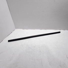 2012-2018 Ford Focus Rear Passenger Side Door Belt Molding Weatherstrip Seal OEM