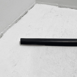 2012-2018 Ford Focus Rear Passenger Side Door Belt Molding Weatherstrip Seal OEM