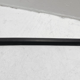 2012-2018 Ford Focus Rear Passenger Side Door Belt Molding Weatherstrip Seal OEM