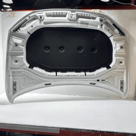 2019-2025 VOLKSWAGEN JETTA FRONT HOOD PANEL PURE WHITE 0Q0Q OEM