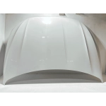 2019-2025 VOLKSWAGEN JETTA FRONT HOOD PANEL PURE WHITE 0Q0Q OEM