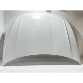 2019-2025 VOLKSWAGEN JETTA FRONT HOOD PANEL PURE WHITE 0Q0Q OEM