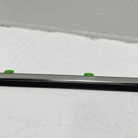 2014-2020 Acura MDX Rear Driver Door Window Belt Molding OEM