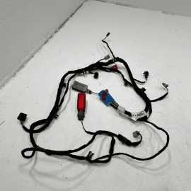 2012-2018  AUDI A6 FRONT DRIVER DOOR PANEL LIGHT WIRE HARNESS CABLE W/LAMPS OEM