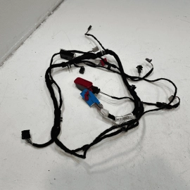 2012-2018  AUDI A6 FRONT DRIVER DOOR PANEL LIGHT WIRE HARNESS CABLE W/LAMPS OEM