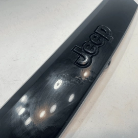 2019-2021 JEEP GRAND CHEROKEE TAILGATE LIFTGATE LICENSE PLATE LIGHT MOLDING OEM