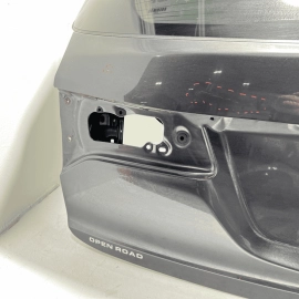 ACURA MDX 2014-2020 TAILGATE LIFTGATE BACK DOOR SHELL PANEL W/ GLASS OEM NH782M