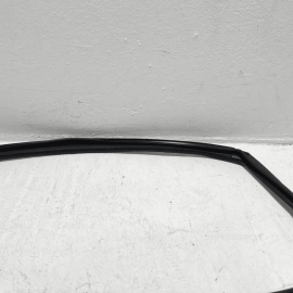 HONDA ACCORD 2018-2025 FRONT RIGHT PASSENGER DOOR GLASS RUN CHANNEL SEAL OEM