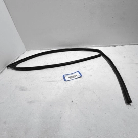 HONDA ACCORD 2018-2025 FRONT RIGHT PASSENGER DOOR GLASS RUN CHANNEL SEAL OEM