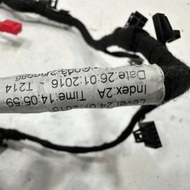 AUDI S6 2016-2018 FRONT LEFT DRIVER SIDE DOOR PANEL LIGHT WIRE HARNESS CABLE OEM