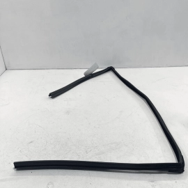 2011-2022 DODGE CHARGER FRONT LEFT DRIVER SIDE DOOR WINDOW RUN CHANNEL SEAL