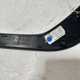 2017-2019 AUDI Q7 REAR LEFT DRIVER SIDE DOOR TRIM MOLDING OEM 2017-2019 AUDI Q7 REAR LEFT DRIVER SIDE DOOR TRIM MOLDING OEM