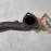 2018 2019 2020 ACURA TLX A-SPEC 3.5 L ENGINE EXHAUST MUFFLER PIPE OEM