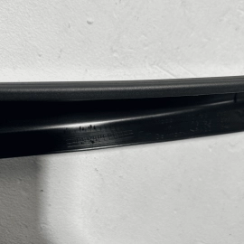 2011-2018 PORSCHE CAYENNE FRONT LEFT DRIVER SIDE DOOR BODY WEATHERSTRIP SEAL OEM