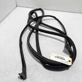 Rear Right Side Door Panel Weatherstrip Seal Acura MDX 2014-2020 OEM