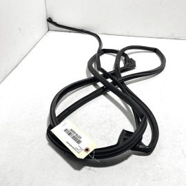 Rear Right Side Door Panel Weatherstrip Seal Acura MDX 2014-2020 OEM