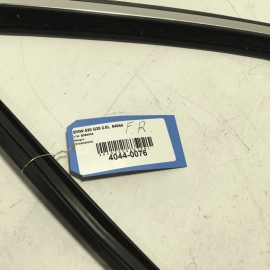 18-23 BMW 530E FRONT PASSENGER DOOR WINDOW RUN CHANNEL SEAL W/UPPER MOLDING OEM