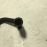 2018-2023 BMW 530e xDrive Radiator Coolant Upper Hose OEM